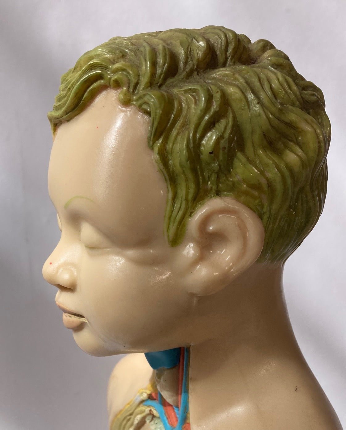 Rare Pædiatrics Teaching Aid / Anatomical model - Room Four