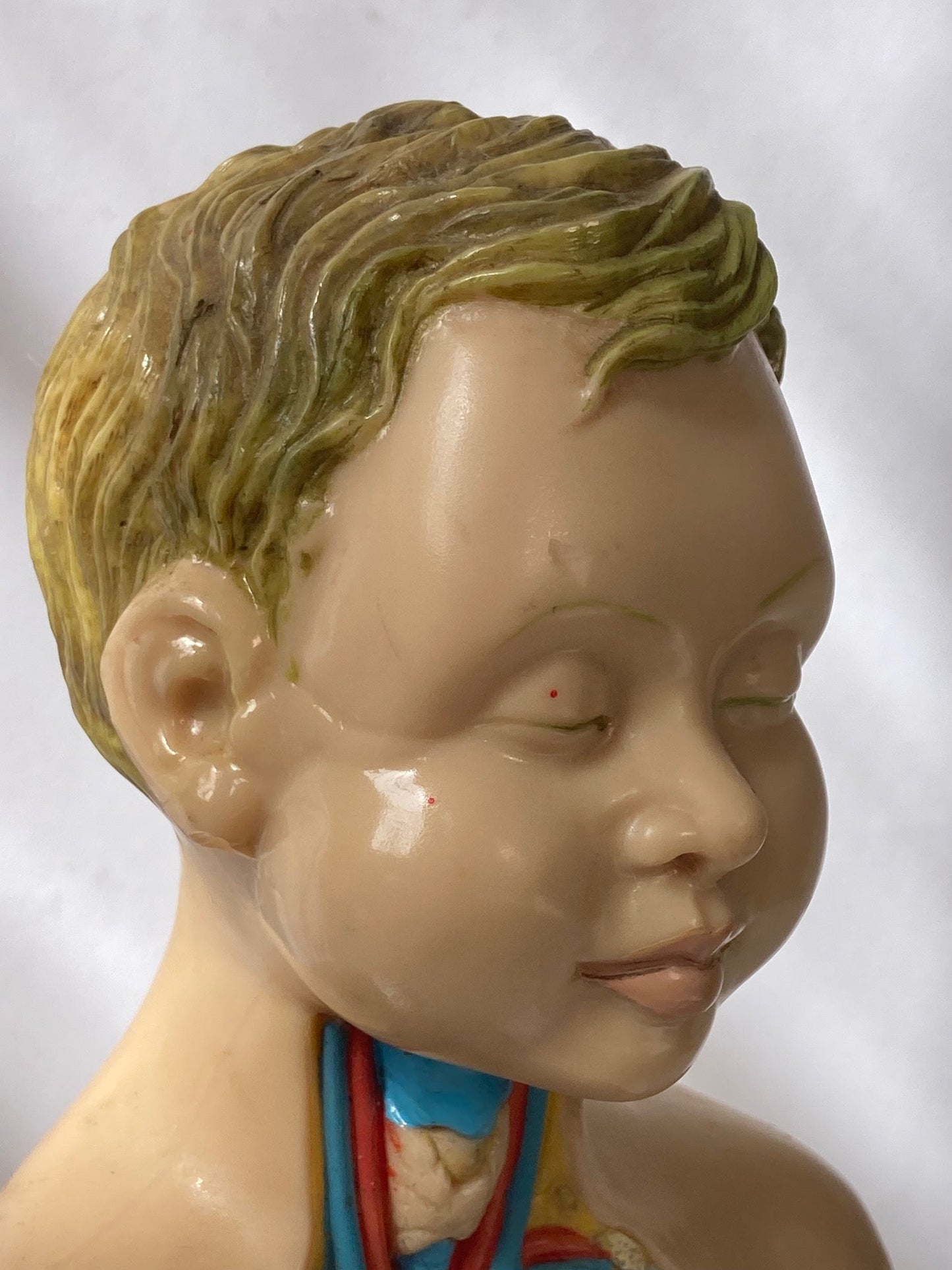 Rare Pædiatrics Teaching Aid / Anatomical model - Room Four