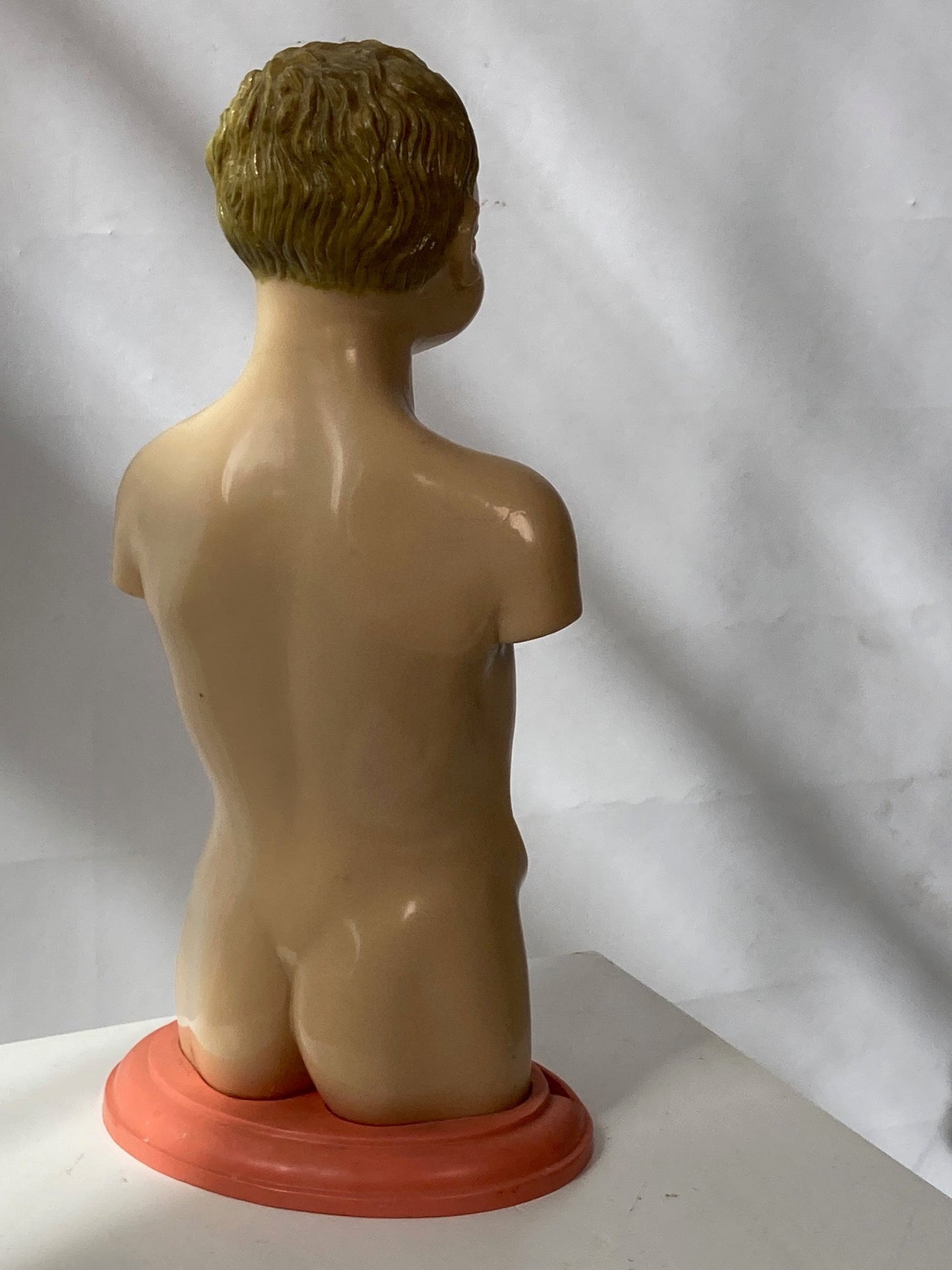 Rare Pædiatrics Teaching Aid / Anatomical model - Room Four