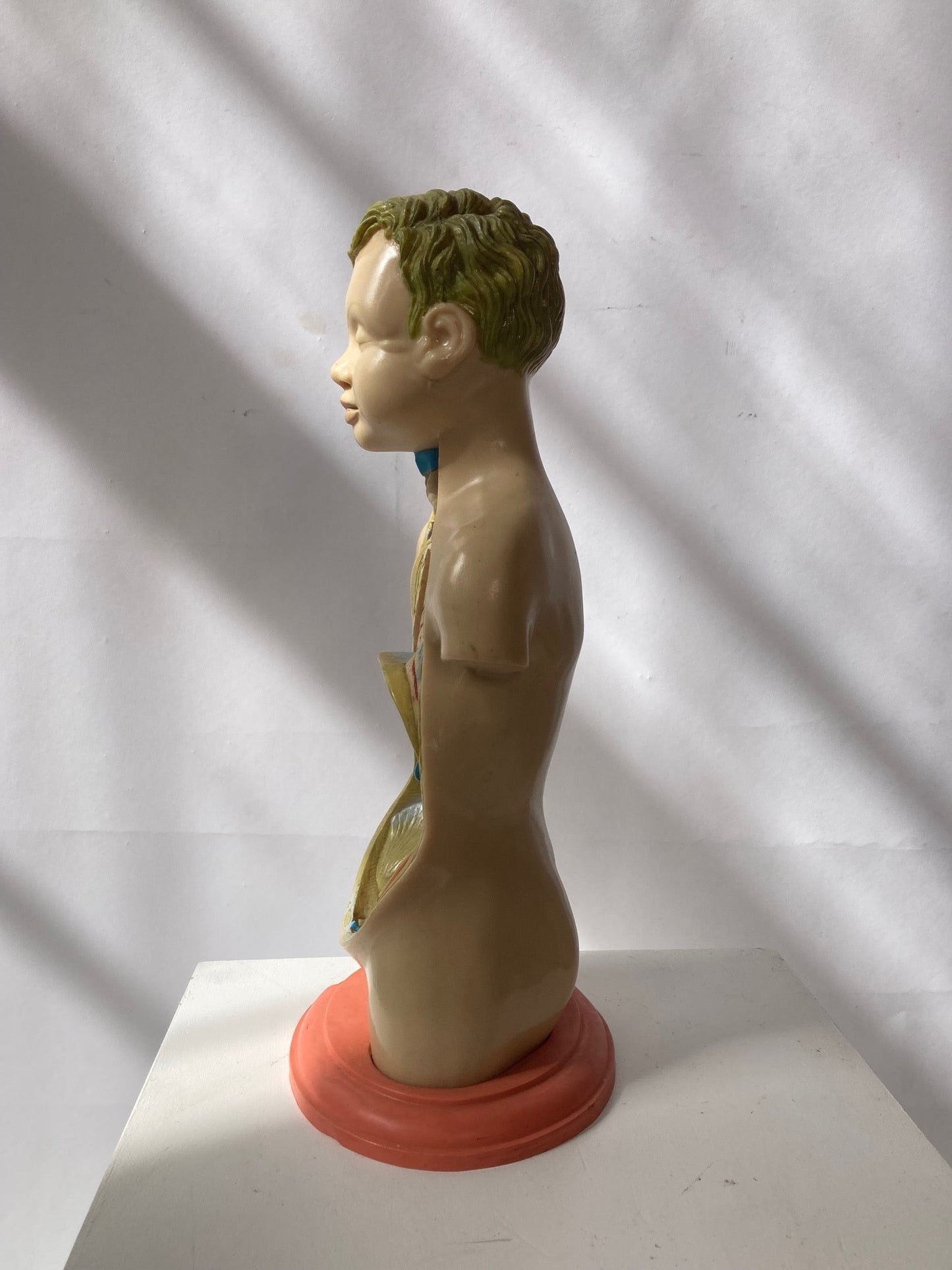 Rare Pædiatrics Teaching Aid / Anatomical model - Room Four