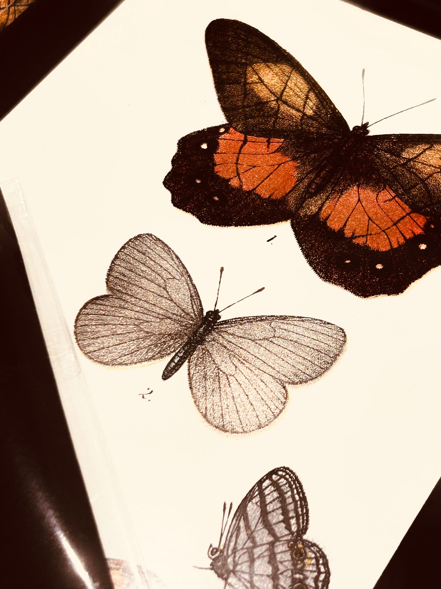 Browse our curated collection of original art, including signed oils, watercolours, drawings, and prints.