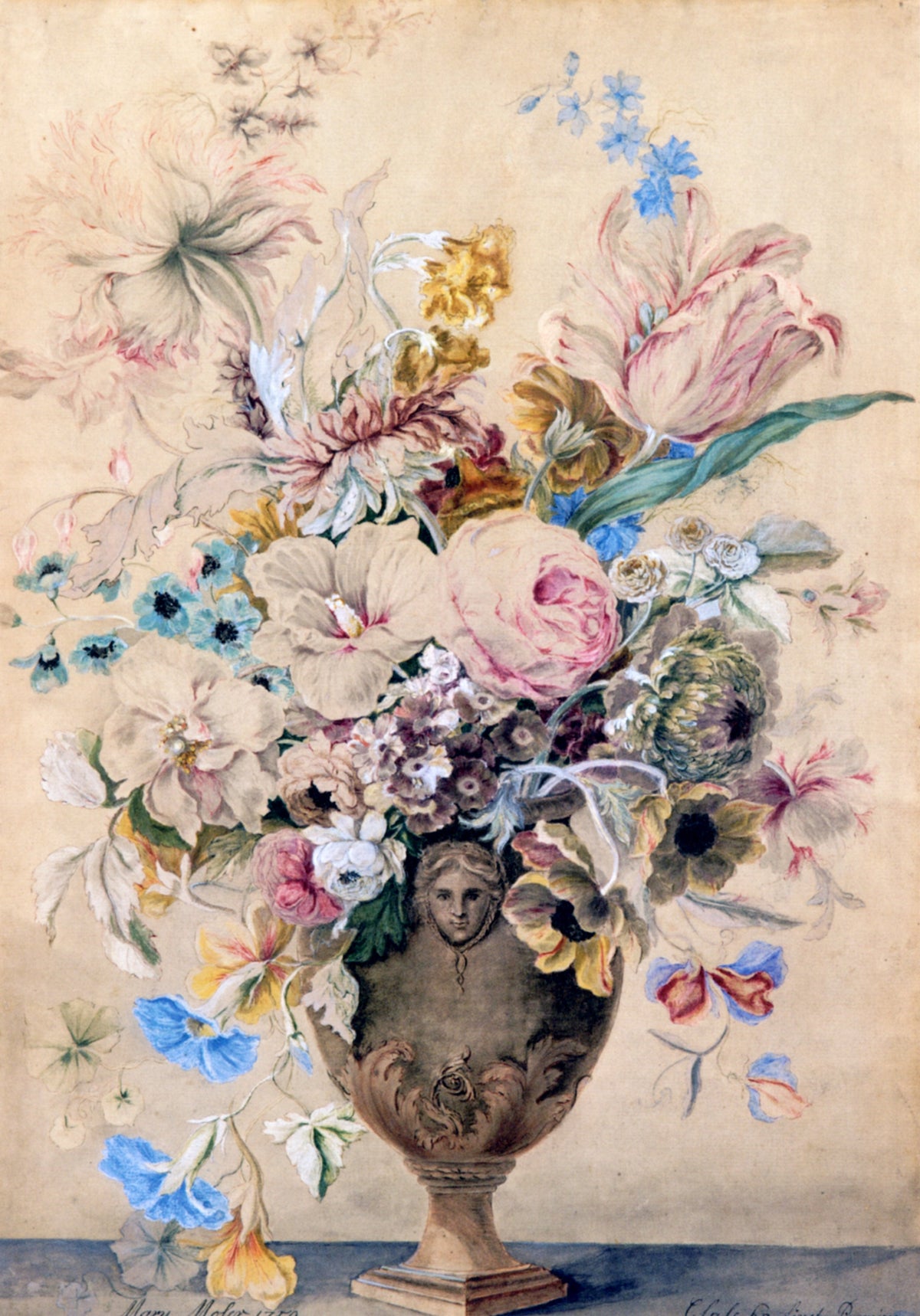 Fine Art Vintage Print Collection