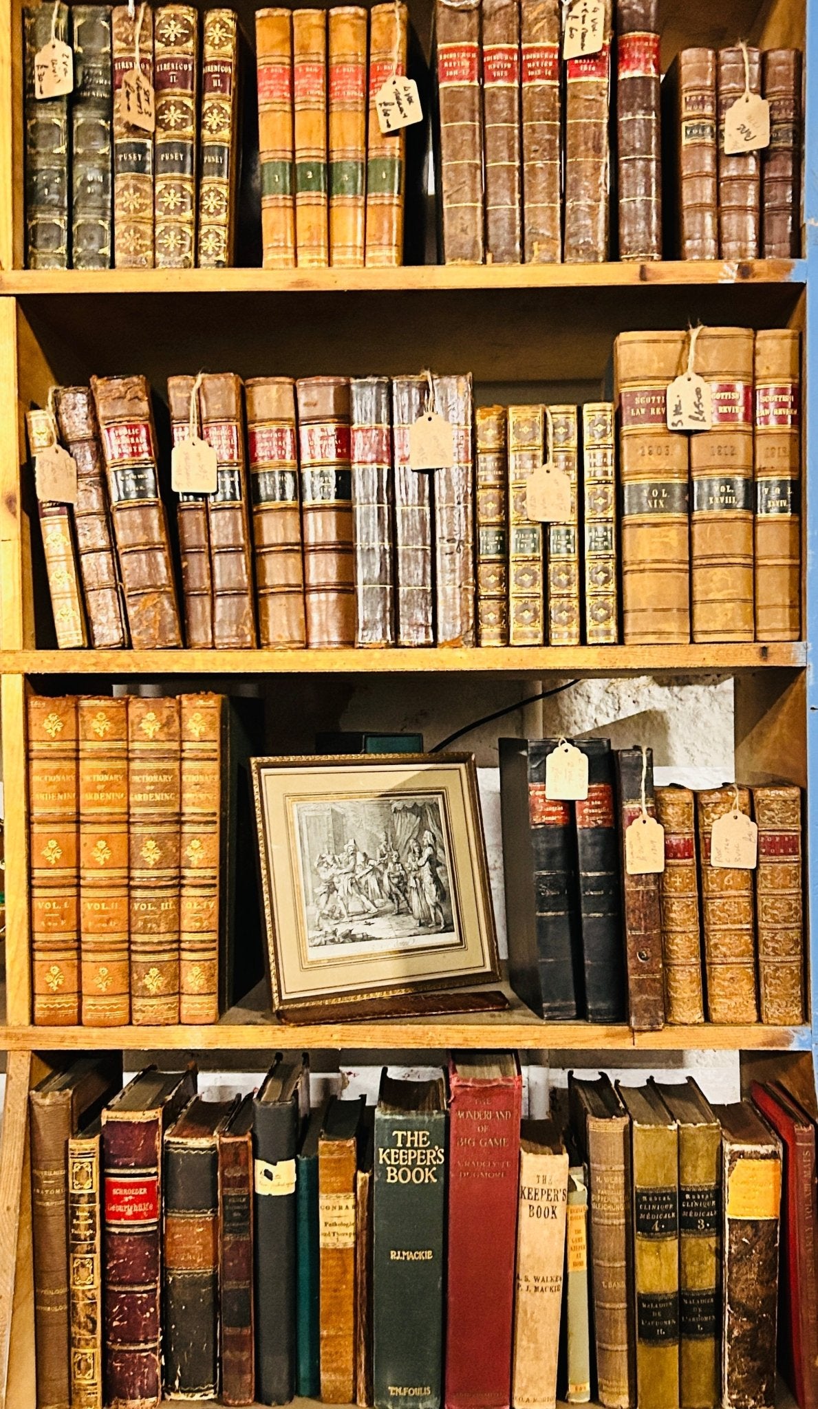 Antique Book Collection - Room Four