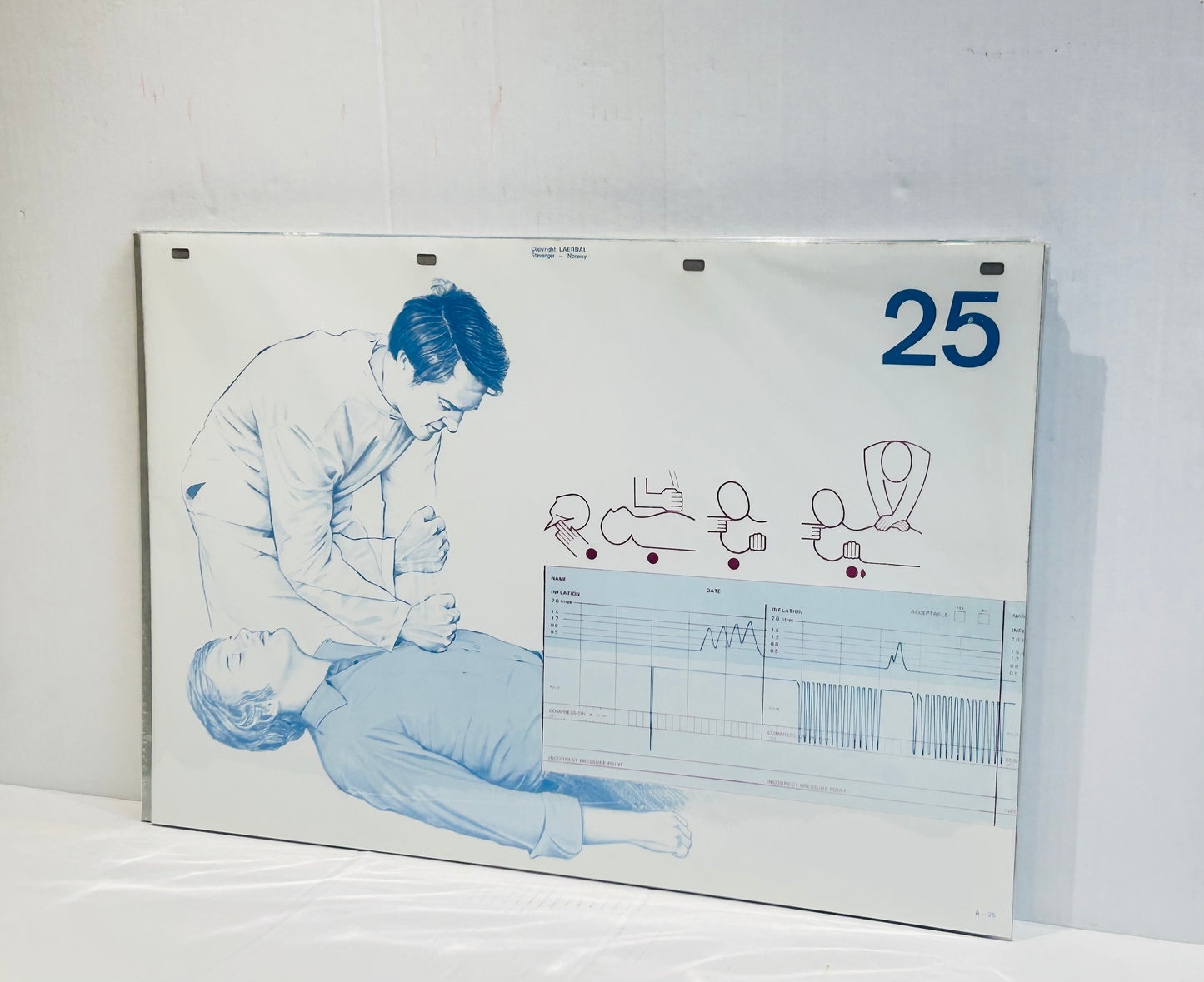 Scandi Art  - Laerdal Anatomical Teaching Chart – Vintage Nursing & CPR Education,  Medical Ephemera