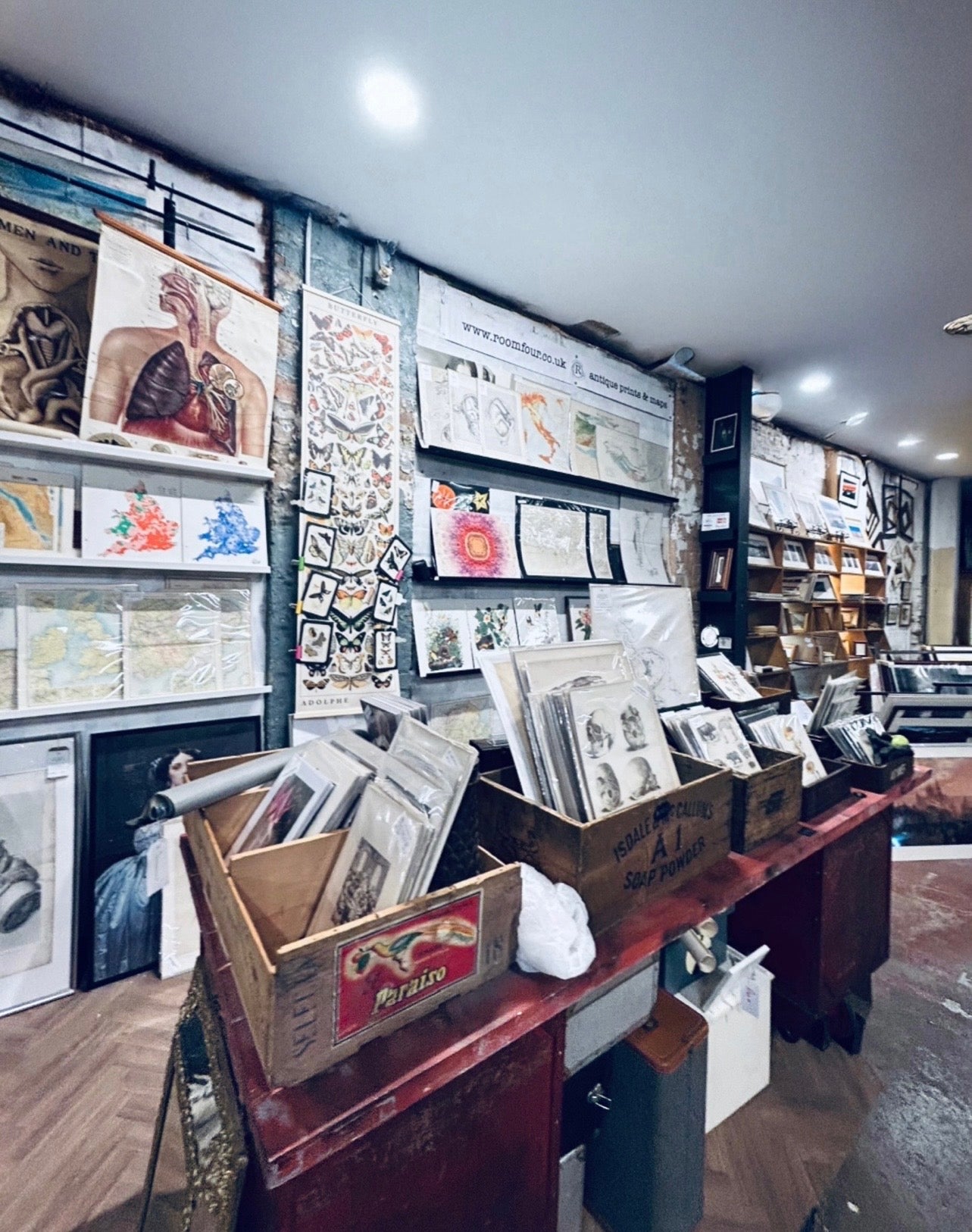 Rare 19thc. Anatomical Print – Dura Mater & Venous Sinuses | Medical Dissection Plate by George Henry Ford Plate XIV