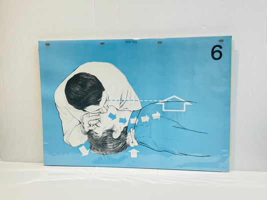 Scandi Art  - Laerdal Anatomical Teaching Chart – Vintage Nursing & CPR Education,  Medical Ephemera