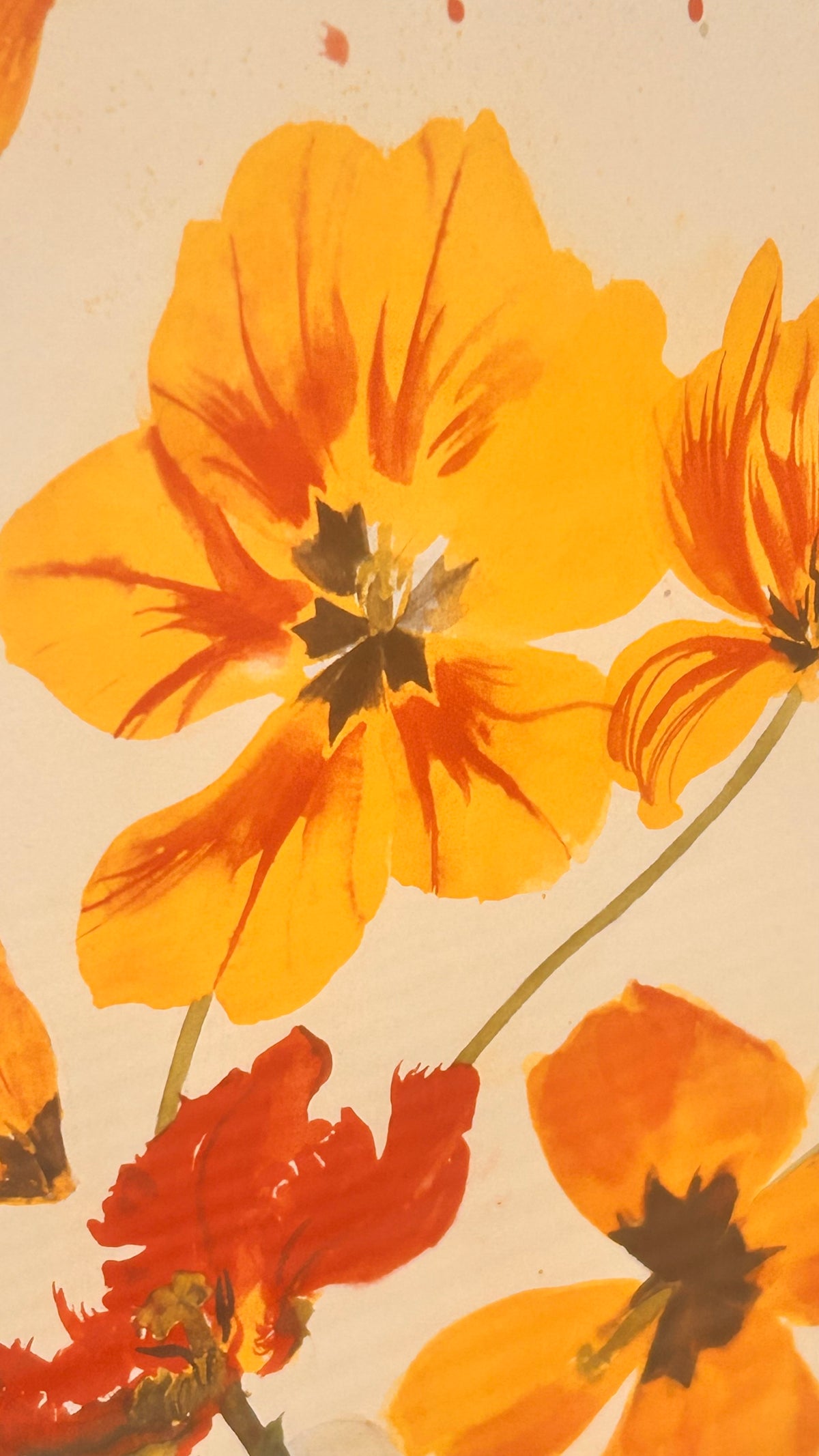 Vintage Elizabeth Blackadder Tulips Red & Yellow Framed Print 1999