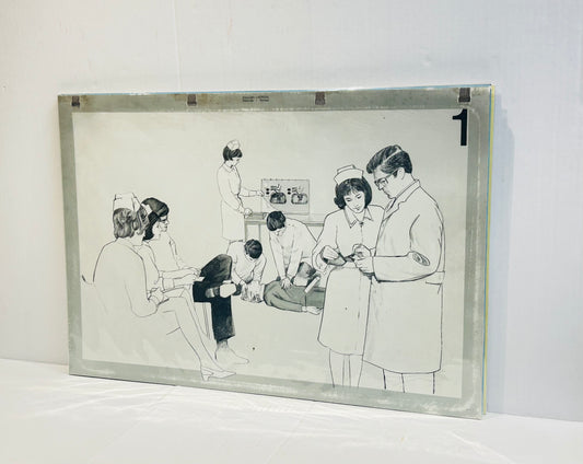 Scandi Art  - Laerdal Anatomical Teaching Chart – Vintage Nursing & CPR Education,  Medical Ephemera