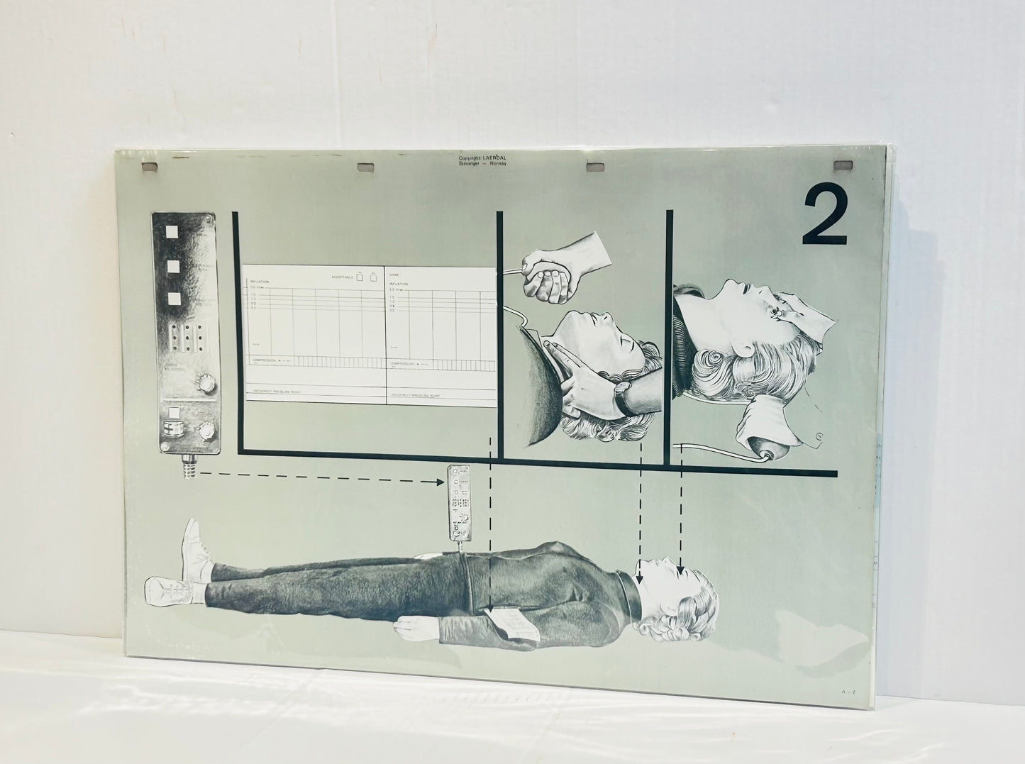 Scandi Art  - Laerdal Anatomical Teaching Chart – Vintage Nursing & CPR Education,  Medical Ephemera