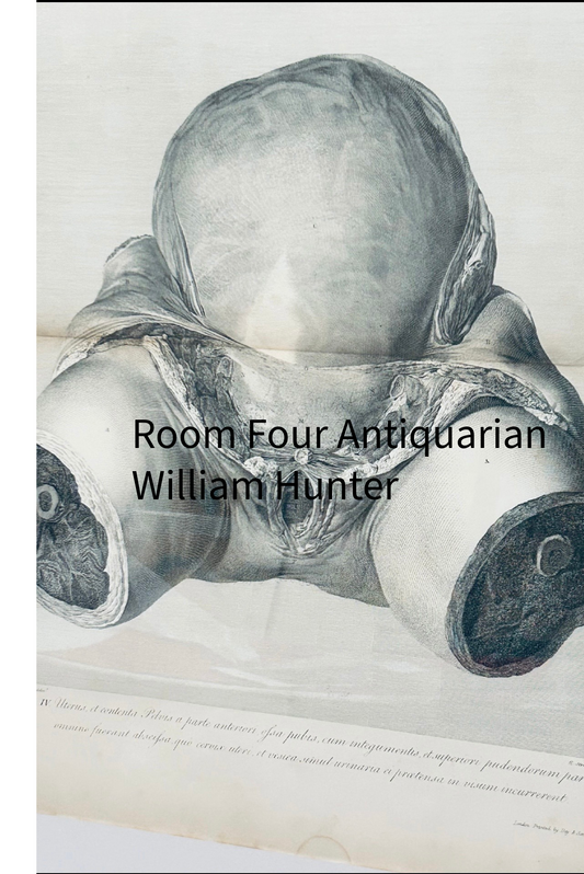 William Hunter (1774) – Obstetric Anatomy -  Plate 4 - Original Copperplate Engraving from The Anatomy of the Human Gravid Uterus