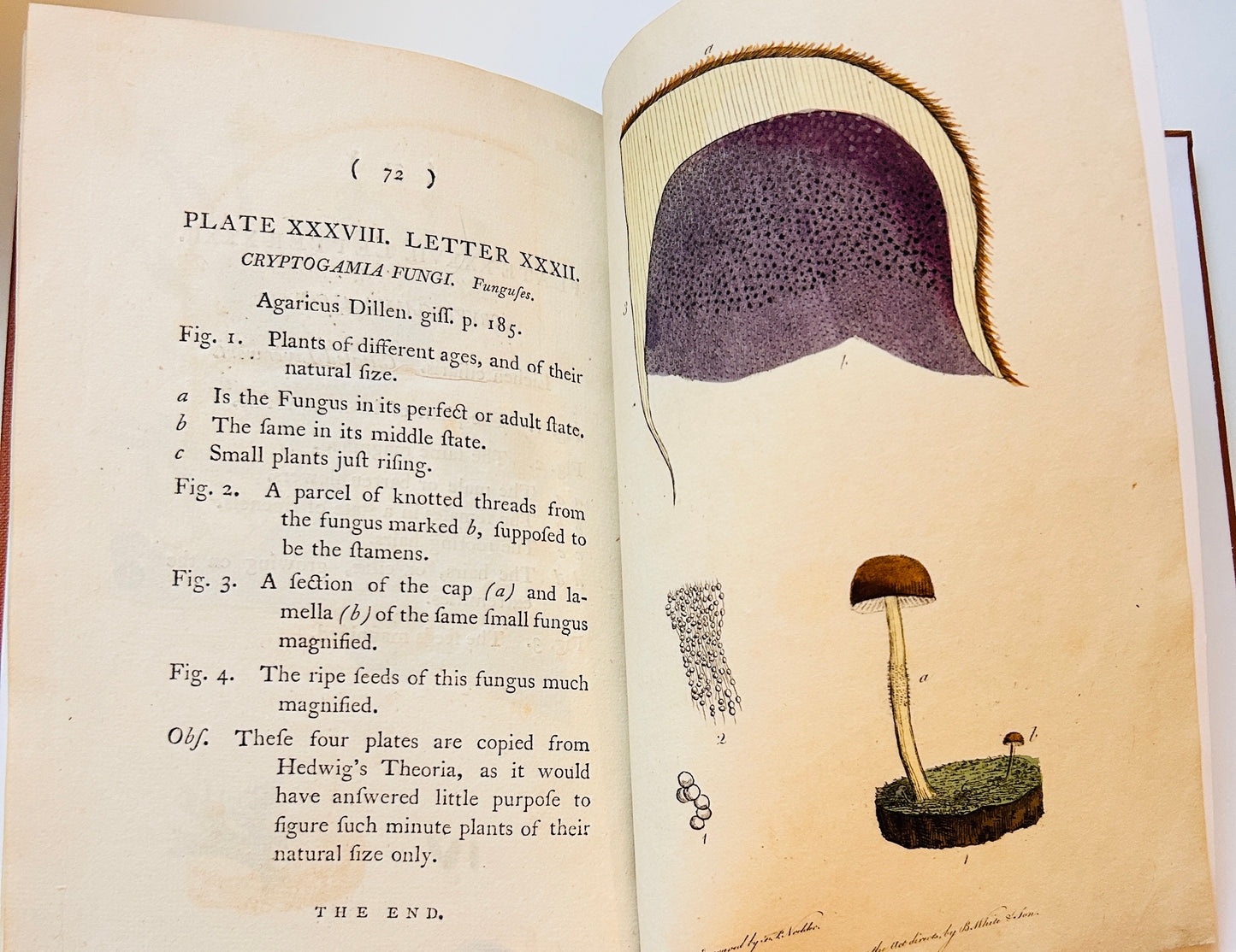 Botanisches Glossar von Thomas Martyn aus dem Jahr 1799 – Antikes wissenschaftliches Buch aus der Linnéschen Zeit (Neu gebunden)