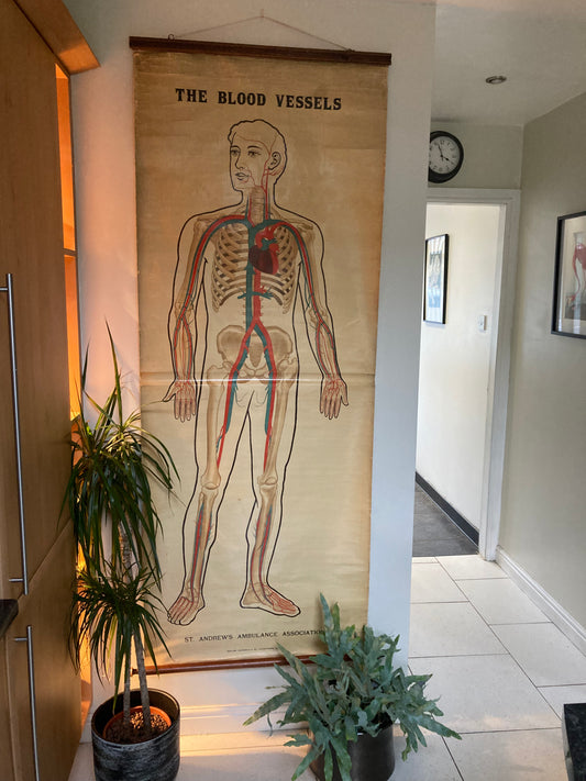 Antike anatomische Fuß- und Sprunggelenksillustration – Tafel LIV | Muskeln, Sehnen und Knochenstruktur – Frühe Anatomie – ORIGINAL