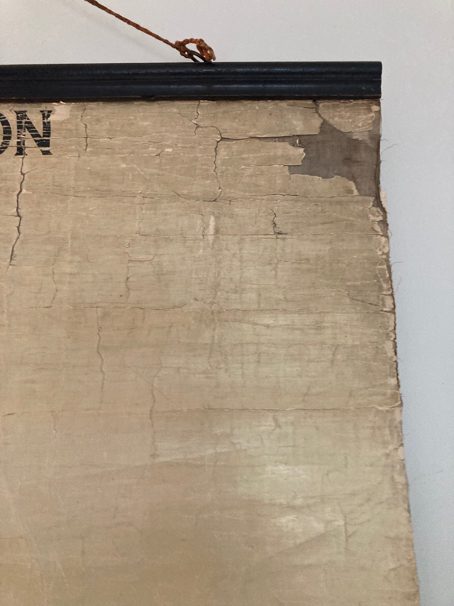 SOLD OUT - Anatomy Wall Chart The Skeleton