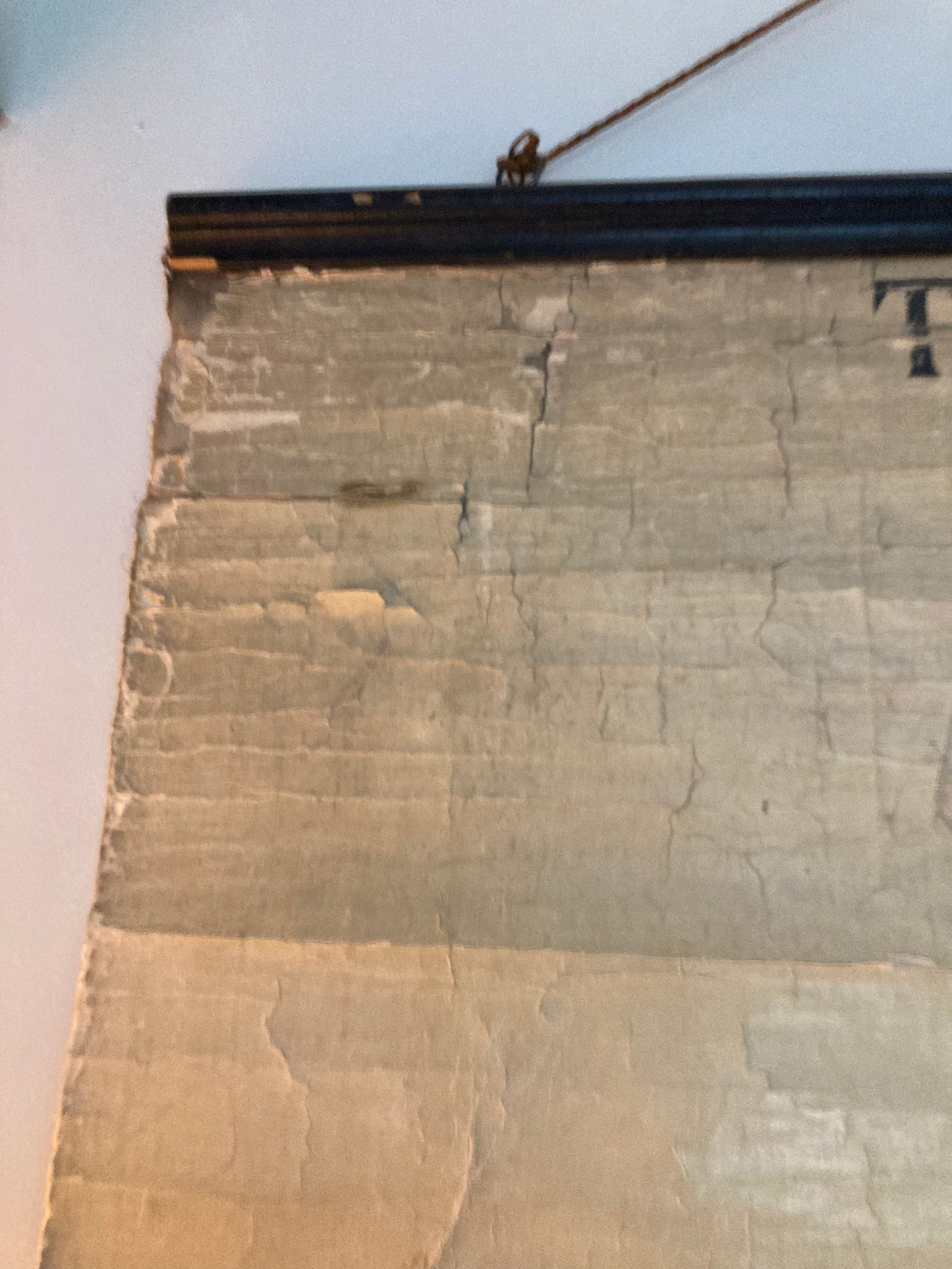 SOLD OUT - Anatomy Wall Chart The Skeleton