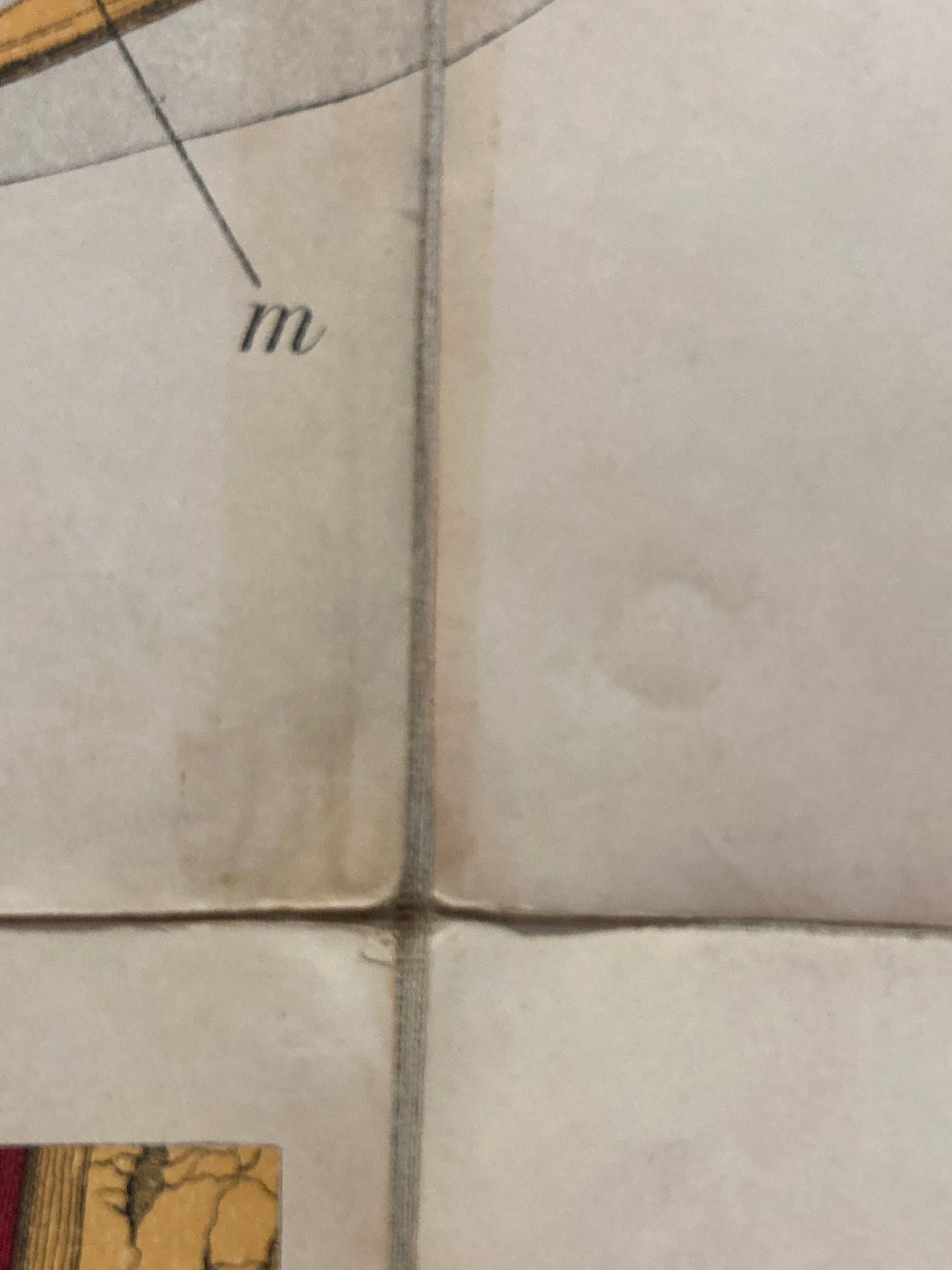 Antique Medical Poster Bones , circa 1903