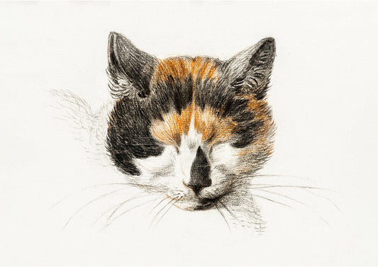 French Closed Eye Tabby Cat Wall Art Print