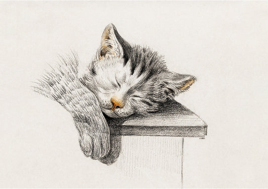 Sleepy Tabby Cat Wall Art Print