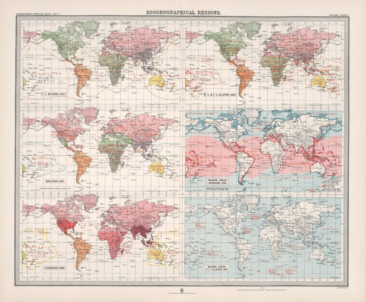 Antique Zoogeography Map - WORLD – Vintage Zoology Chart, early 20th Century