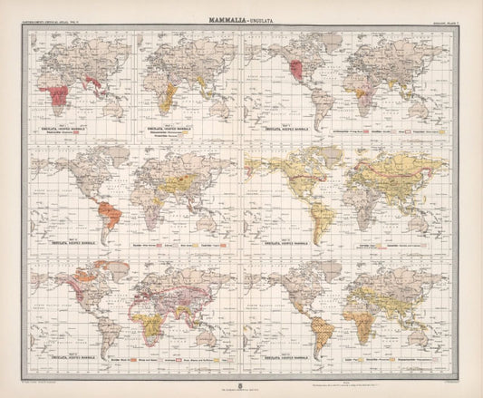 Antique Zoogeography Map - MAMMALIA UNGULATA Vintage Zoology Chart Early 20th Century