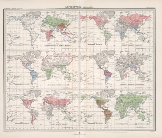 Antique Zoogeography Map - LEPIDOPTERA RHOPALOCERA– Vintage Zoology Chart Early 20th Century