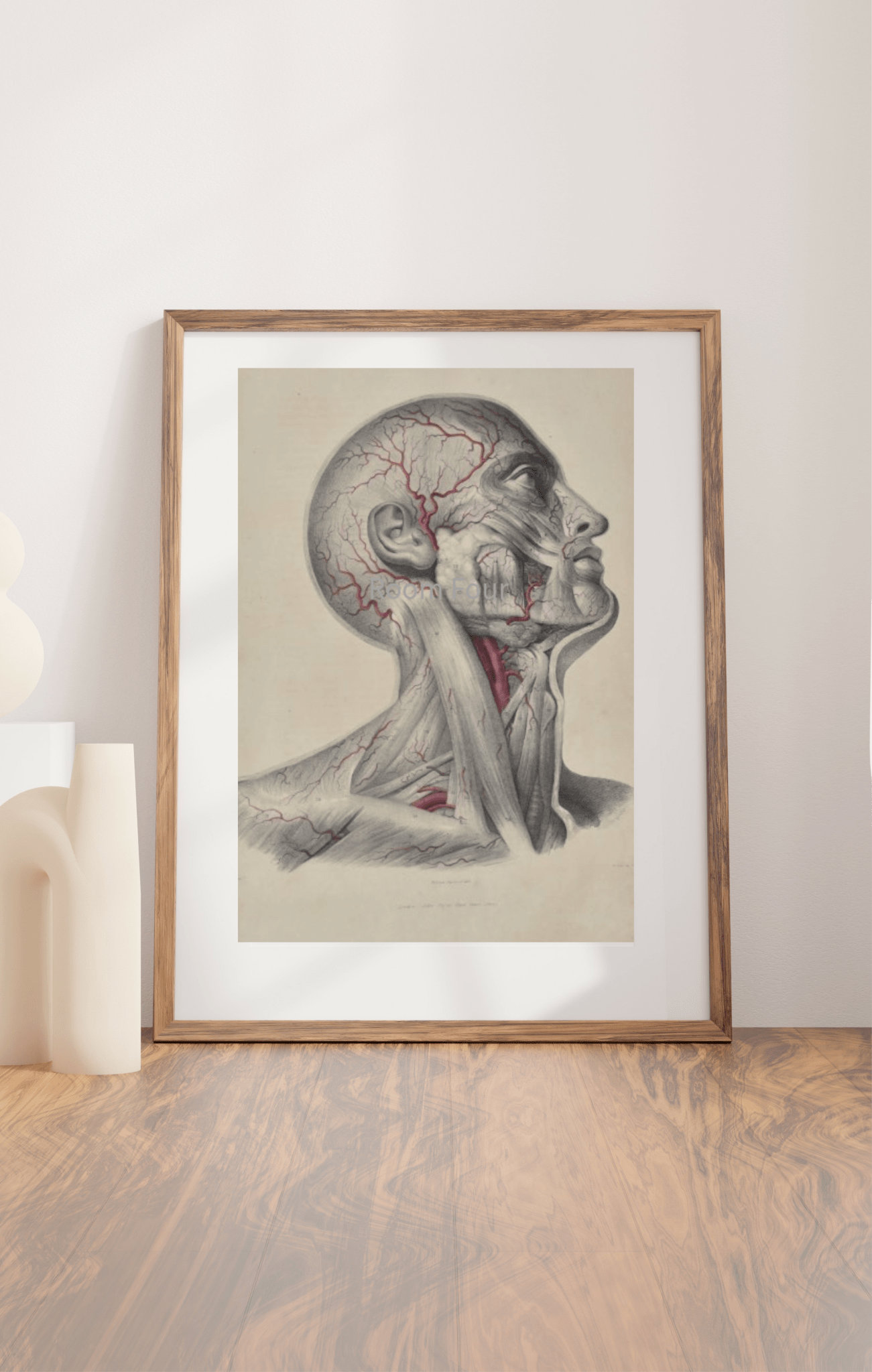 Anatomical Digital Wall Art Print - Vascular Face & Neck - Room Four
