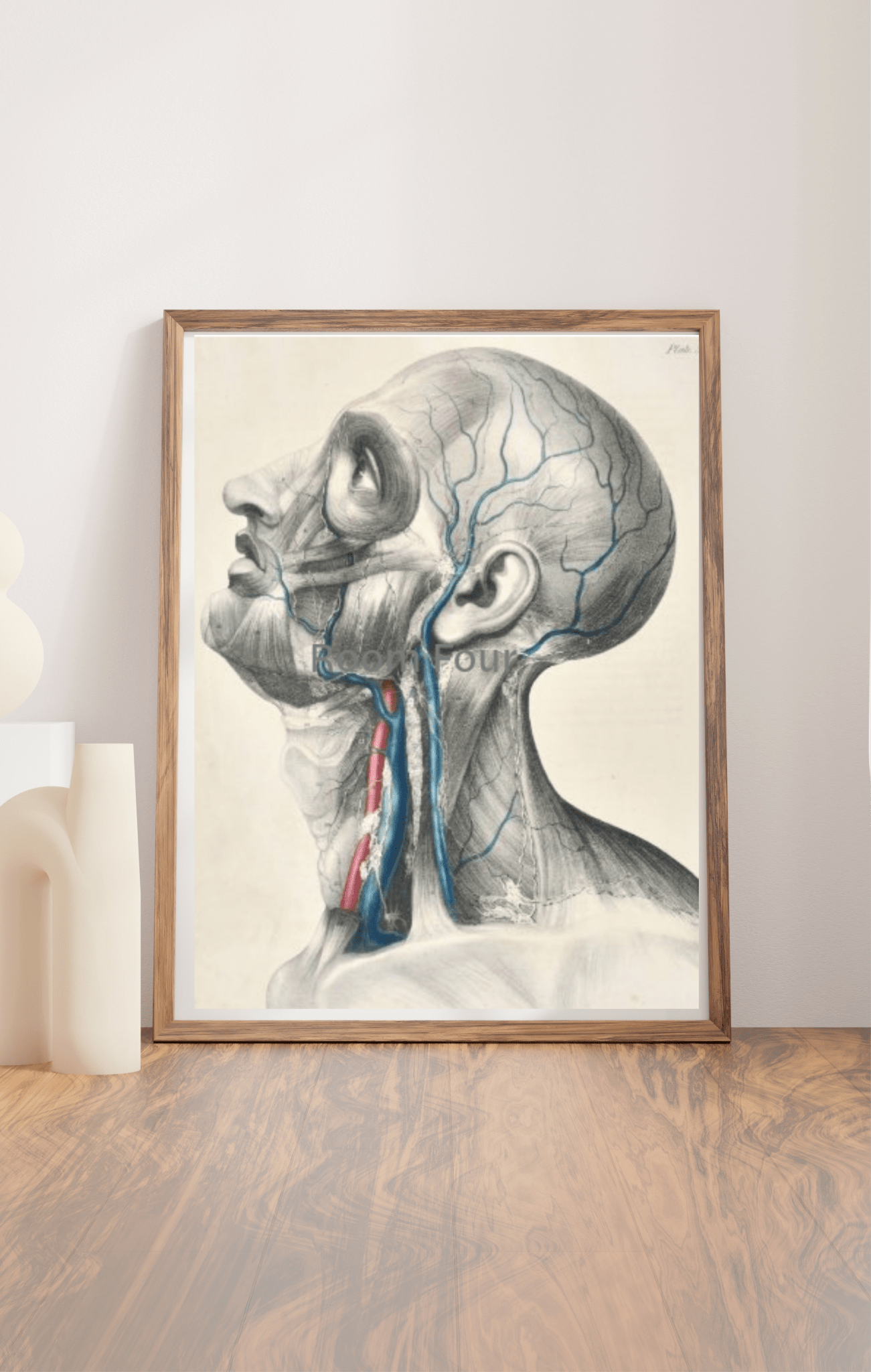 Anatomical Digital Wall Art Print - Vascular Head & Neck - Room Four