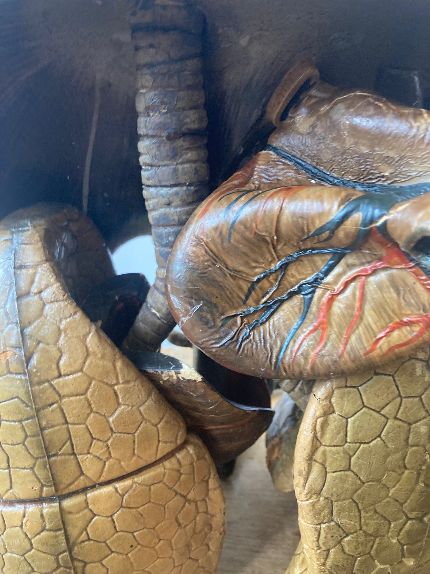 Anatomical Model - Human Respiratory System - Room Four