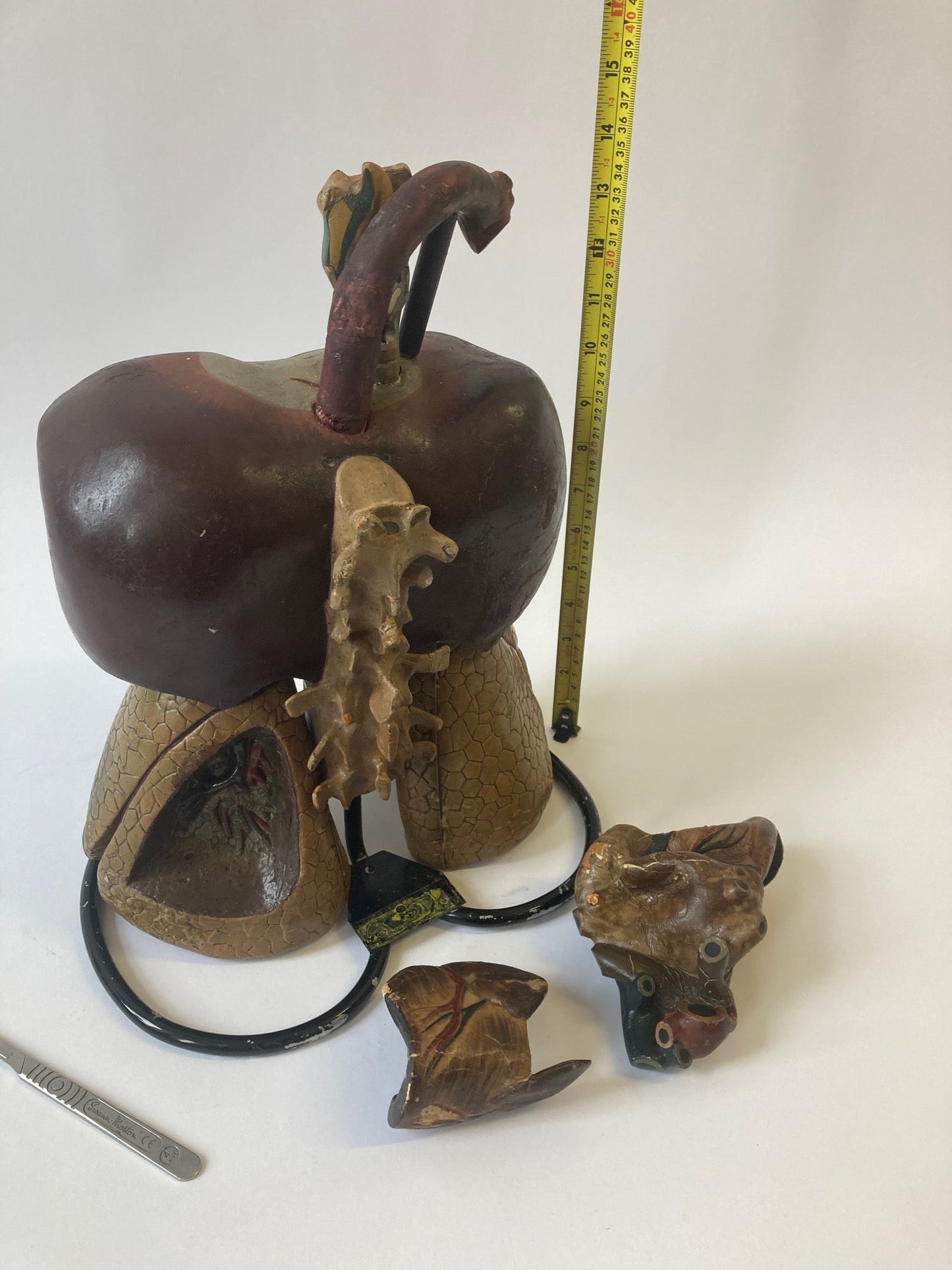 Anatomical Model - Human Respiratory System - Room Four