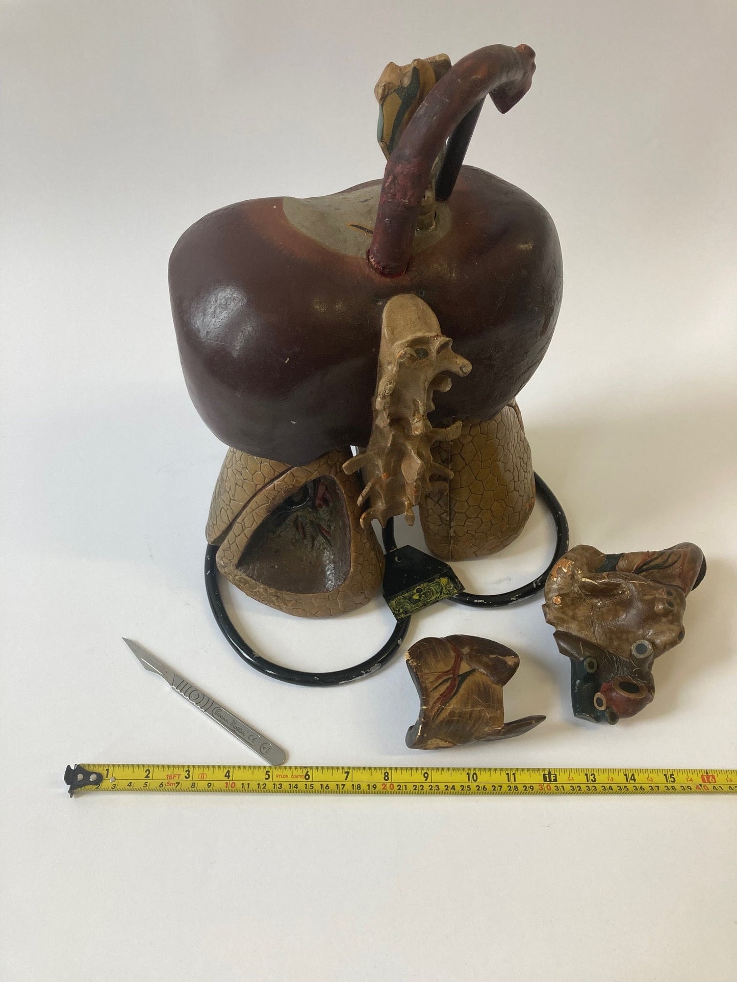 Anatomical Model - Human Respiratory System - Room Four