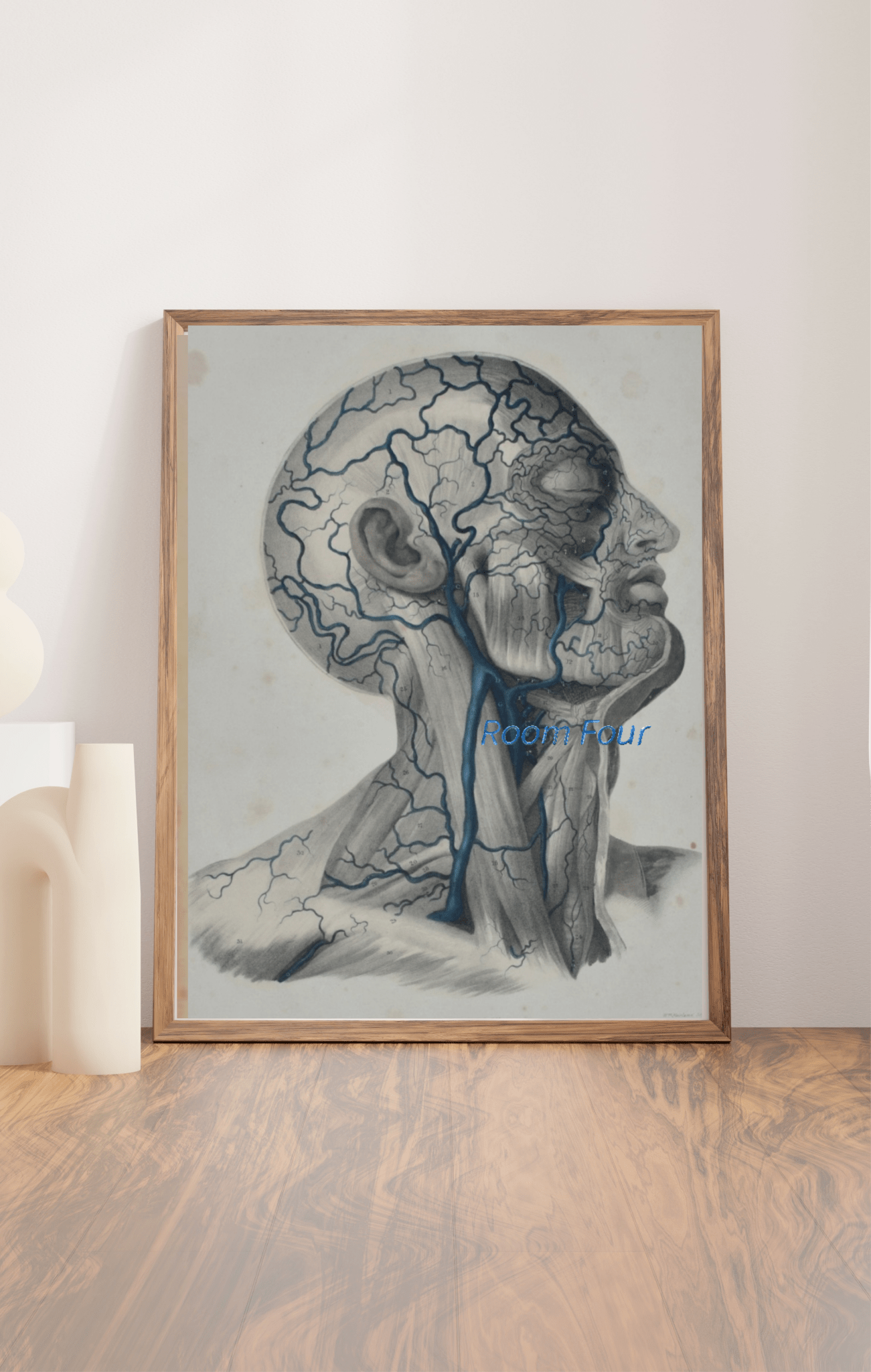 Anatomical Original Artwork - Vascular Head & Neck 35 - Room Four