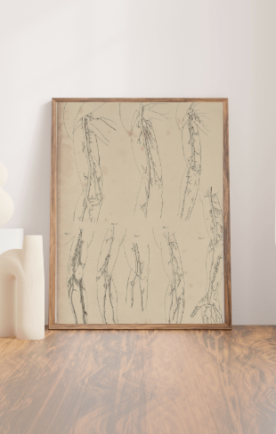 Anatomical Original Wall Art - Vascular 11 - Room Four