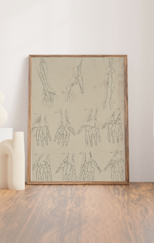 Anatomical Original Wall Art - Vascular 12 - Room Four