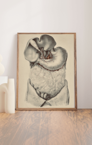 Anatomical Original Wall Art - Vascular 15 - Room Four