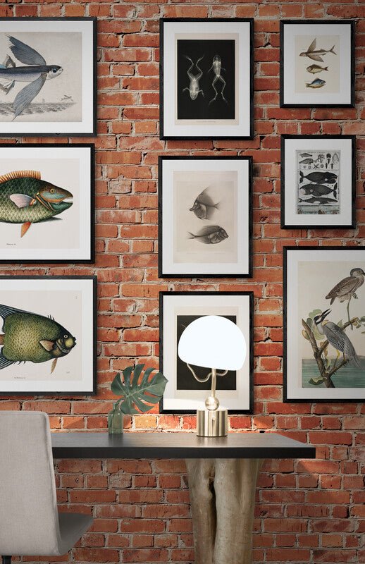 Antique Angel Fish Wall Art Print - Room Four