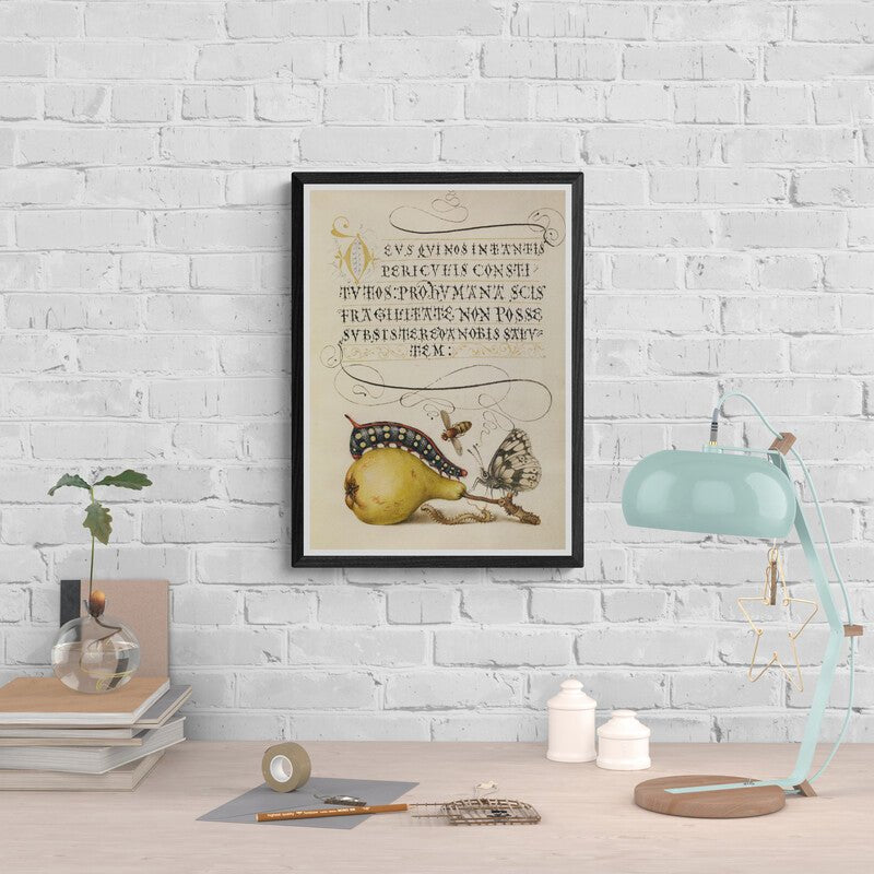 Antique Caterpillar & Butterfly Botanical Wall Art Print - Room Four