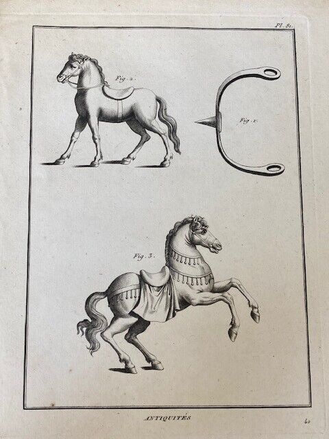 Antique Engraving, Equine Study - Room Four