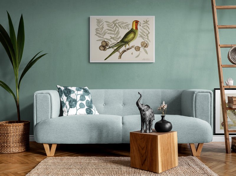 Antique Parrot of Carolina Wall Art Print - Room Four
