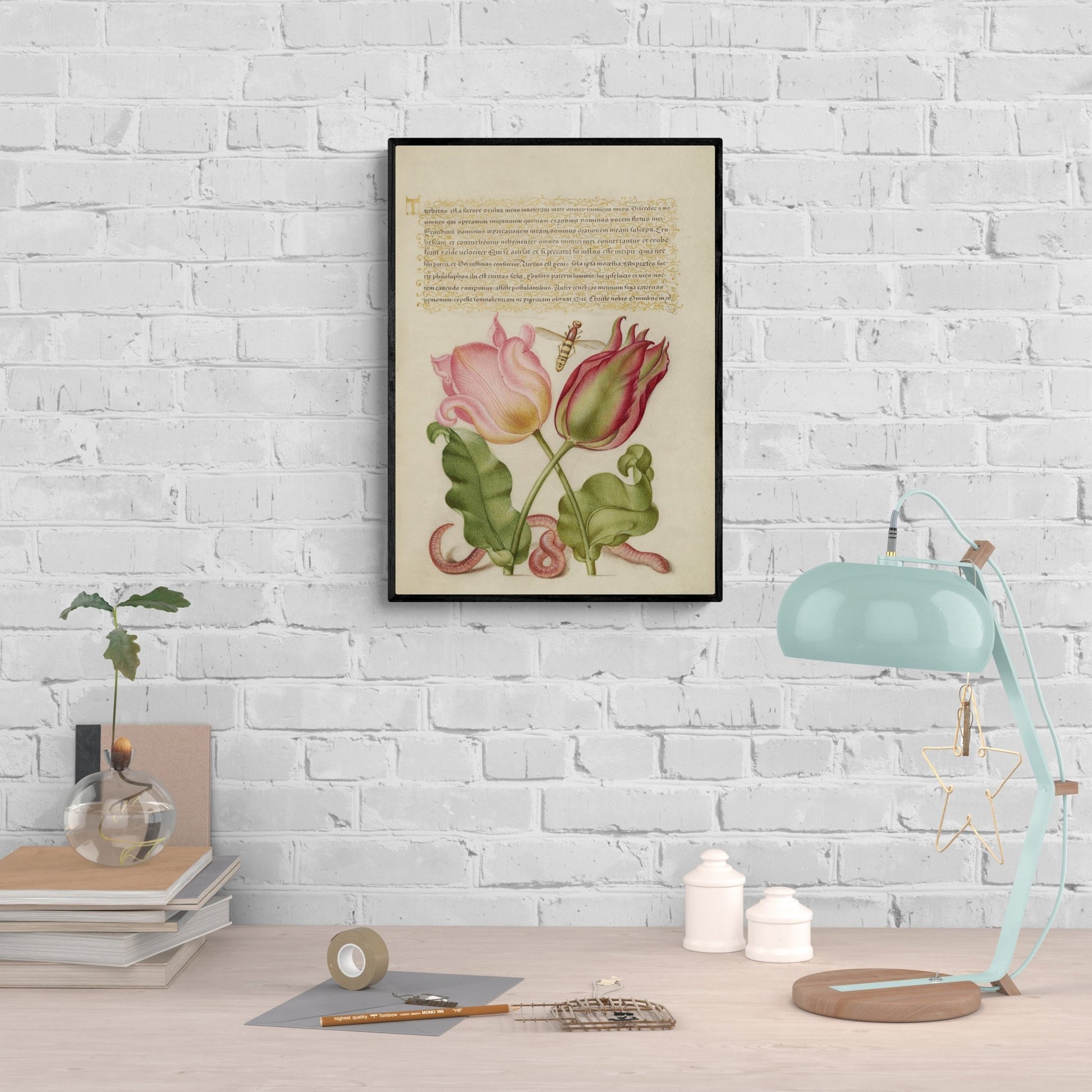 Antique Tulip & Worm Botanical Wall Art Print - Room Four