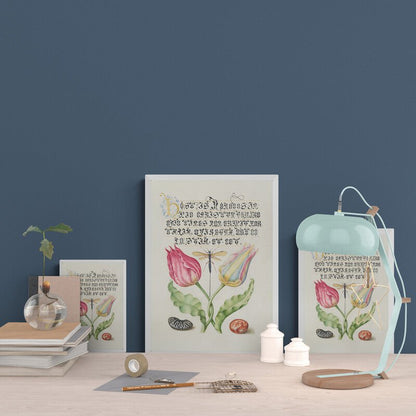 Antique Tulips with Beans - Botanical Wall Art Print - Room Four