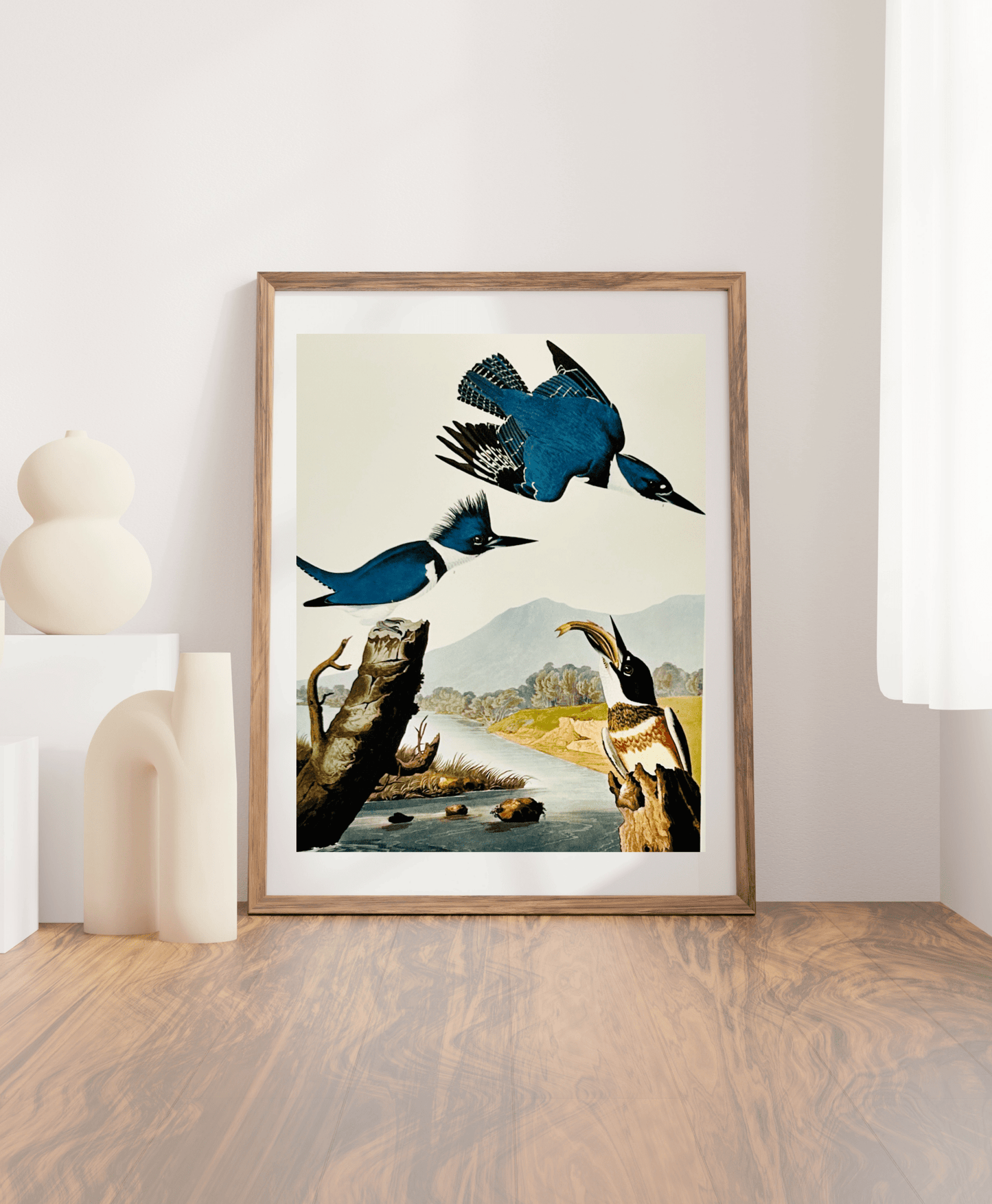 Audubon Vintage 1964 Lithographic Bird Print - Belted Kingfisher - Room Four