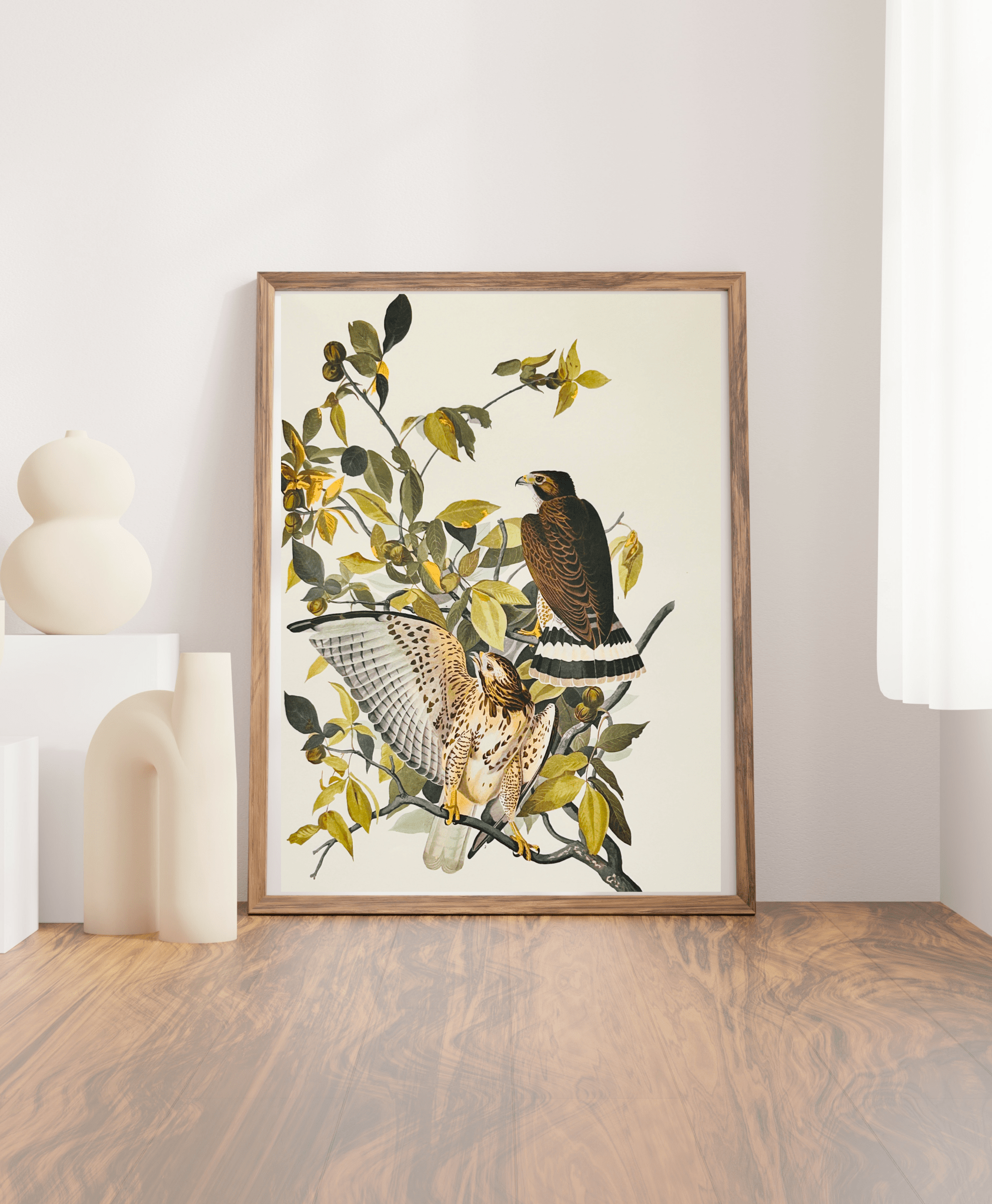 Audubon Vintage 1964 Lithographic Bird Print - Broad Winged Hawk - Room Four