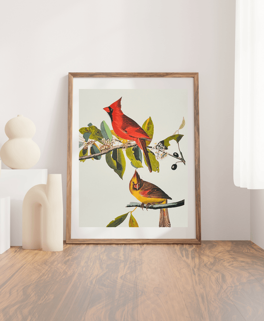 Audubon Vintage 1964 Lithographic Bird Print - Cardinal Grosbeak - Room Four
