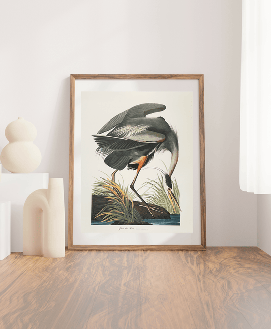 Audubon Vintage 1964 Lithographic Bird Print - Great Blue Heron - Room Four