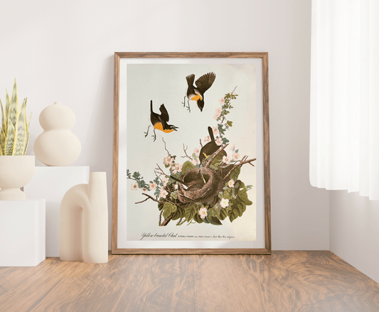 Audubon Vintage 1964 Lithographic Bird Print - Yellow Breasted Chat - Room Four
