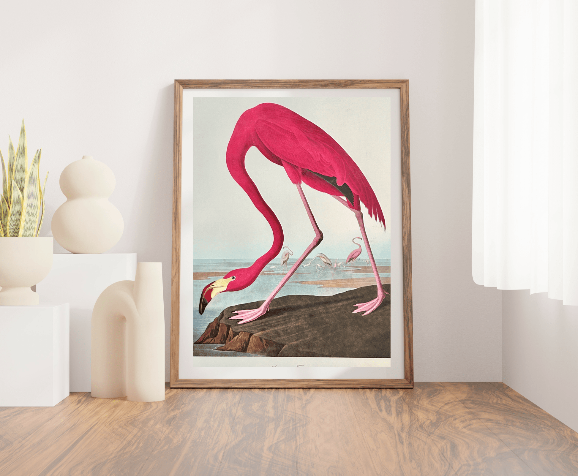 Audubon Vintage 1964 Lithographic Print - American Flamingo - Room Four