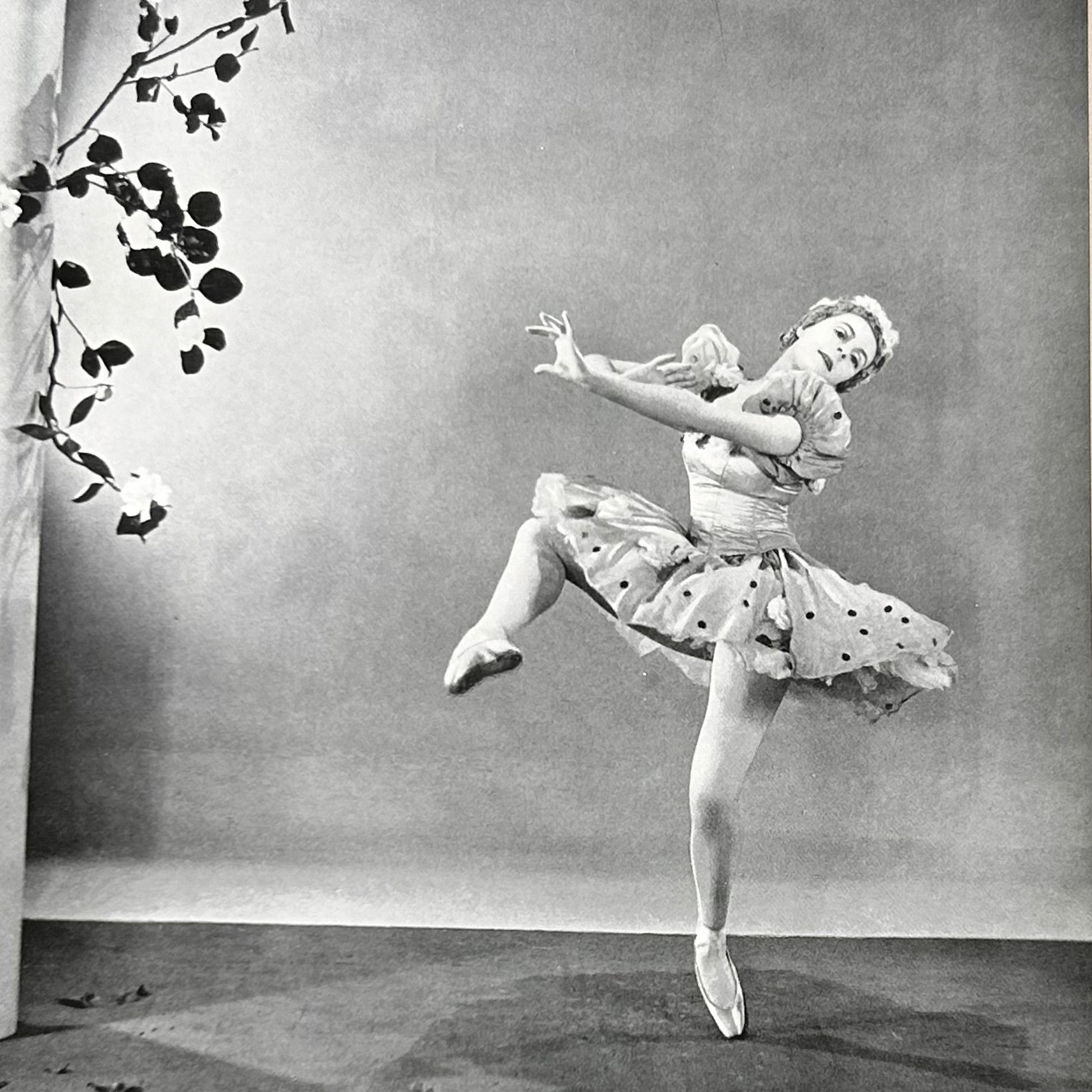 Black & White Camera Studies Vintage Ballet Print - Room Four