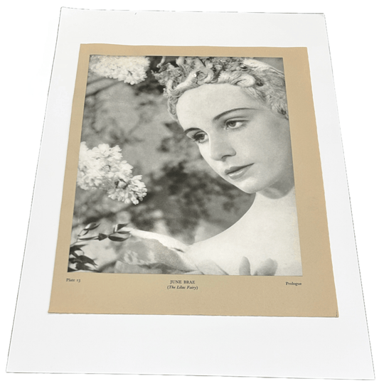 Black & White Camera Studies Vintage Ballet Print - Room Four