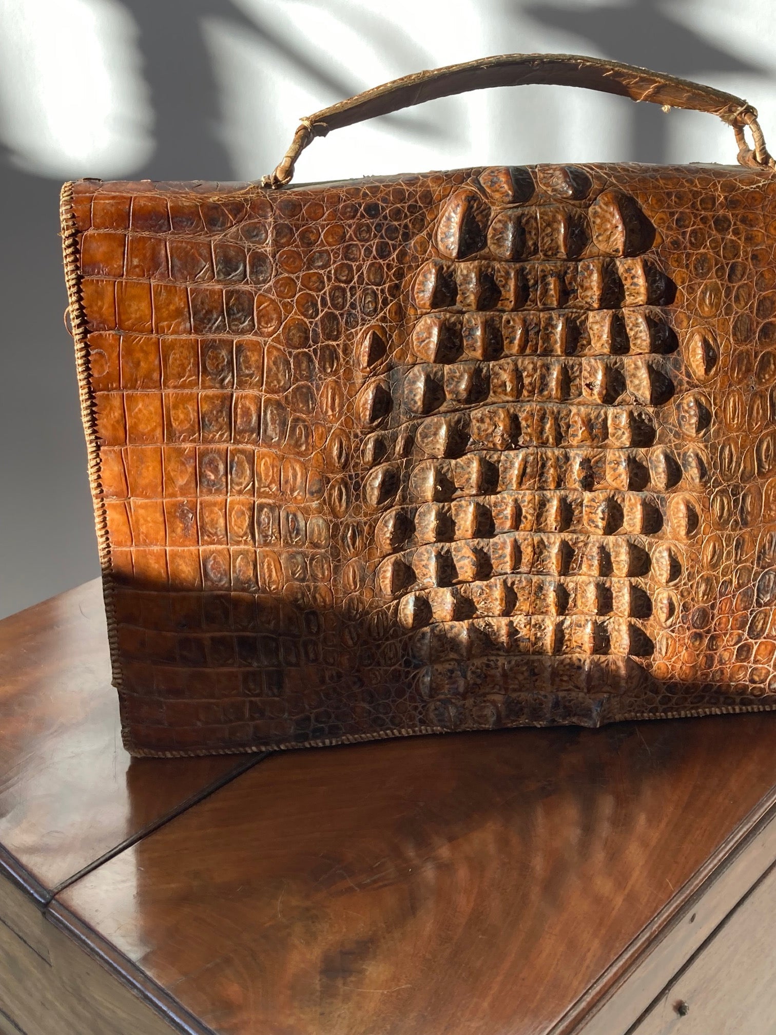 Crocodile Document Case - Room Four