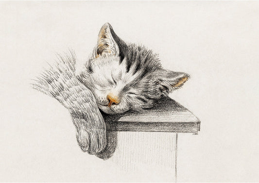 Cuddly Sleeping Tabby Cat Wall Art Print - Room Four