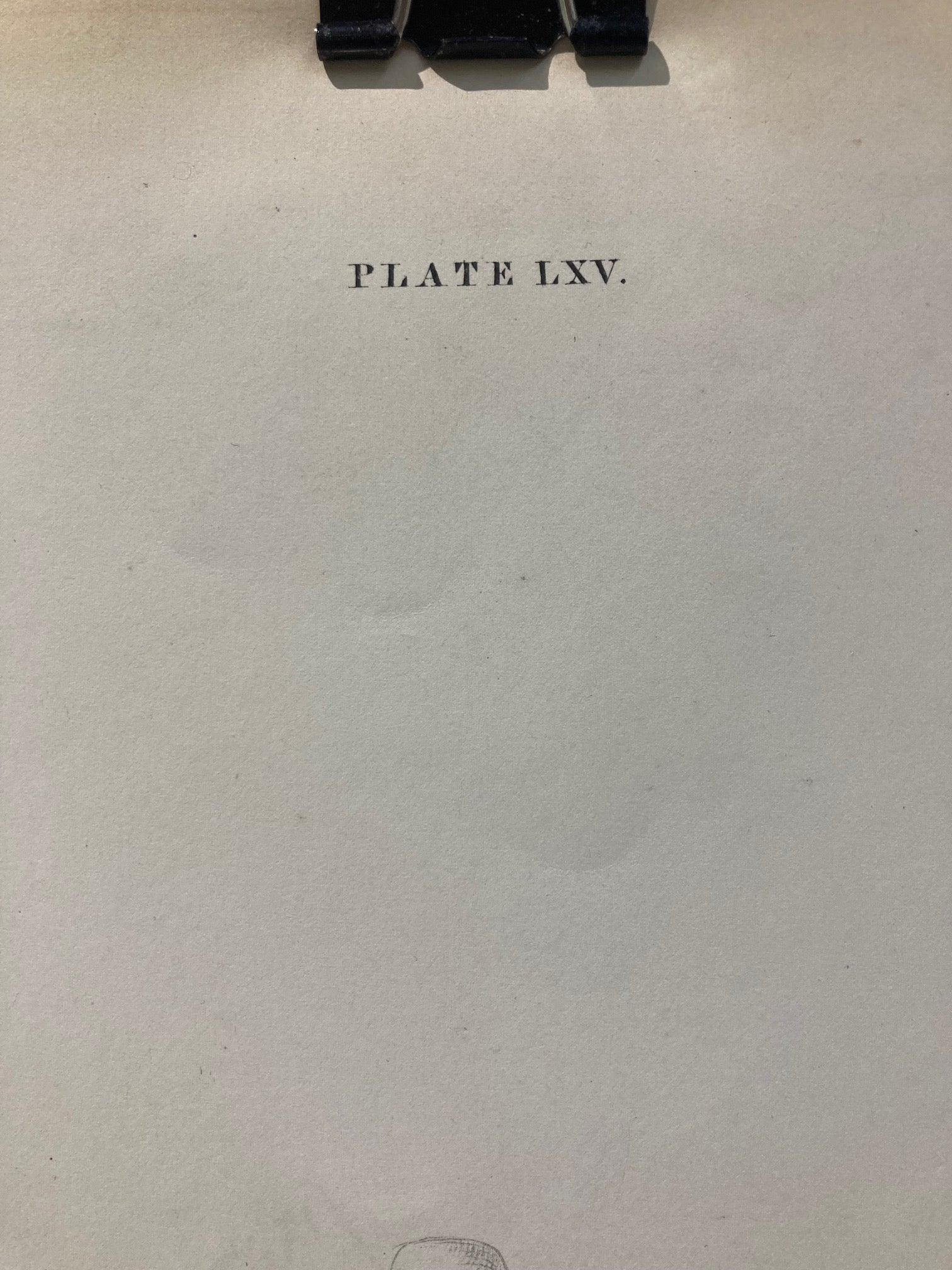 early anatomy - plate LXV - original - Room Four
